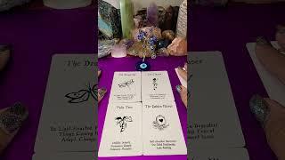 WATER SIGNS  DAILY LOVE ORACLE READING  CANCER SCORPIO PISCES 369DIVINETAROT.COM