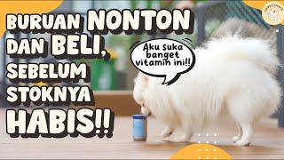 Vitamin Untuk Manusia Ini Ternyata Bagus Untuk Anjing