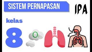 SISTEM PERNAPASAN PADA MANUSIA  IPA KELAS 8 SMP