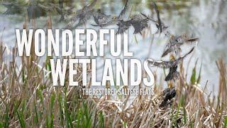 Northwest Profiles - Wonderful Wetlands The Restored Saltese Flats