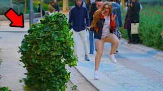 Beautiful Women Get Very Scared  Bushman Prank