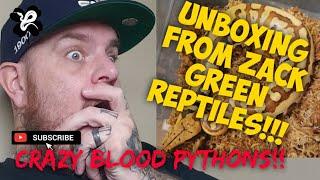 UNBOXING VIDEO Zack Green Reptiles sent us some CRAZY BLOOD PYTHONS