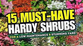 Top 15 Hardy Shrubs for a Low-Maintenance & Stunning Yard  - Perfect for Lazy Gardeners