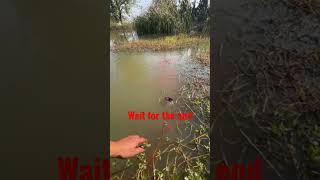 simple and easy liquid fishing #shortsfeed #dmpt #fishingvideo #how