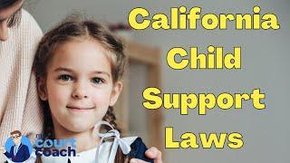 Overview of Child Support Laws in California Family Court