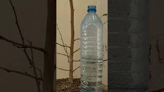 Easy & cheap Drip Irrigation from Plastic Bottles Ingenious Life Hacks for Thriving Plants