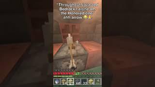 Throughout java and bedrock I alone.. am the honored one #minecraft #memes #minecraftmemes