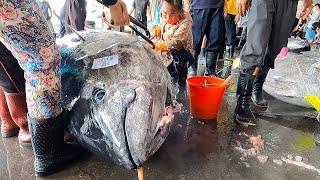 800 lb giant bluefin tuna cutting showamazing meat cutting skills