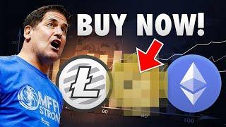 Mark Cuban Is SUPER Bullish On These Alt Coins.. INVEST NOW