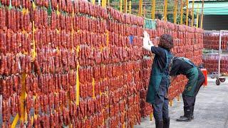 Amazing Traditional Chinese Sausage Cured Pork Belly Bacon Making  湖南臘腸 臘肉製作 - Taiwanese Food