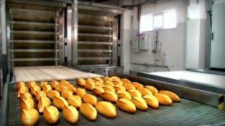 Автоматизация пекарни  PANEMOR