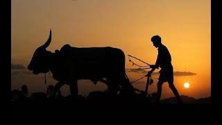 happy farmers day 2022  happy national farmers day  farmers day whatsapp  kisan status