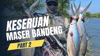 BANDENG monster tarikan nya bikin candu #pasermania #paserikan #masterpaser #paser #fishing #viral