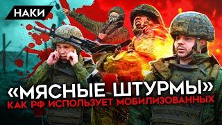 Мясные штурмы российской армии. Как и зачем мобилизованных отправляют на верную смерть