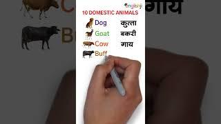 10 Pet Animals name in hindi and english  domestic animals name in english and hindi  #shorts