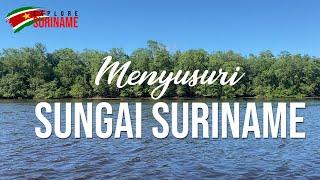 EXPLORE SURINAME 4 MENYUSURI SUNGAI SURINAME