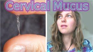 Cervical Mucus -  The Most Important Sign of Ovulation