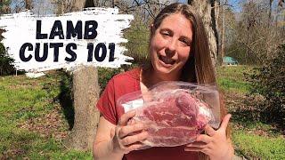 Beginners Guide To Lamb Processing  Retail Cuts Of Lamb Meat Explained