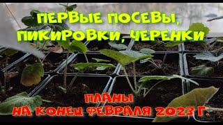 Посевы черенки  Планы на февраль 2023г.