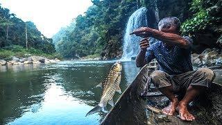 Traditional Fishing Aceh fishermen are very strong in Big Rivers catch fish using palm fruit #1