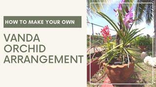 Watch me Create a New Vanda Orchid Arrangement How I Arrange Terete Vandas in a Pot