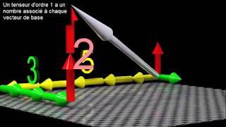 En Français Les Tenseurs Pour Les Débutants expliqué intuiti..  CovarianteContravarianteordre
