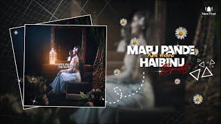 MAPU PANDE HAIBINU   Manipuri new song  lyrics video  xml 