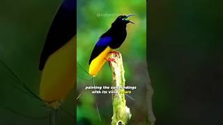 Twelve Wired Bird of Paradise  Enchanting Elegance