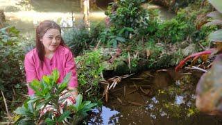 LIHAT AKTIVITAS NENG RITA JANDA DESA SEHARIAN DI KAMPUNG