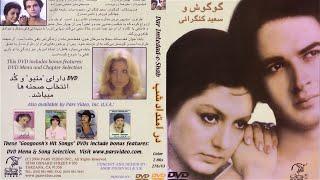 فیلم ایرانی - در امتداد شب