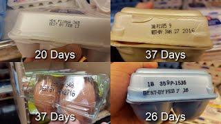 EXPOSED How OLD are Store Bought Eggs??