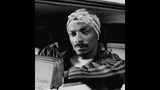 Snoop Dogg Type Beat - After Dusk  90s Old School Type Beat