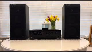 Pioneer Sx-339 and RFT Carina B 9331 Still sounds incredible 30 % Volume