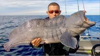 Deep Sea Fishing in the Arctic Circle - Huge Cod Coalfish Wolffish and Halibut  The Fish Locker