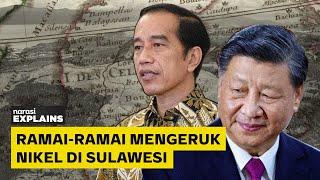 Di Balik Suburnya Nikel di Sulawesi Jokowi China dan Kendaraan Listrik  Narasi Explains