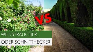 Diese Sträucher dürfen in deiner Hecke nicht fehlen