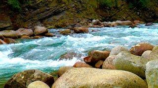 Relaxing Nature Sounds Mountain River  Sleep Study Focus  White Noise Stream