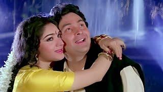 Jab Se Tuko Dekha️Damini️90s Love Song  Kumar Sanu  Sadhna Sargam  Rishi Kapoor  Minakshi