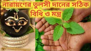 নারায়ণের 108 তুলসী পত্র দানের বিধি ও মন্ত্র। Narayan Tulsi Daan.