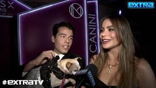 Sofía Vergara on Judging AGT Plus Son Manolos High-End Doggie Fashion Line