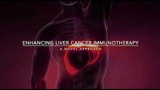 Liver Cancer How Tackling a Protein Could Boost Immunotherapy Success