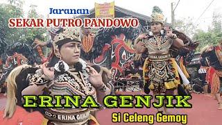 ERINA GENJIK  Perang Celeng Srenggi Jaranan SEKAR PUTRO PANDOWO @bantengsuro_72