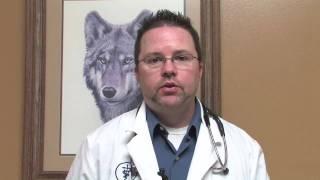 Canine Diseases & Treatment  Dog Diseases That Are Caused by Ticks