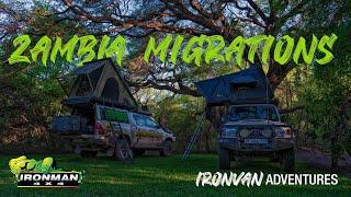 Zambia Migrations Expedition with Ultimate Adventures Trailer