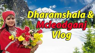 Exploring Dharamshala and Mcleodganj  Vlog Day 1  #vlog #travelvlog  #himachal ️