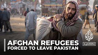 Afghan refugees Millions face mass deportation from Pakistan