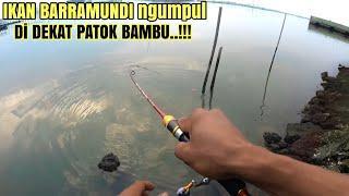 MANCING IKAN KAKAP PUTIH‼️FULL SETRIEK TANPA JEDA