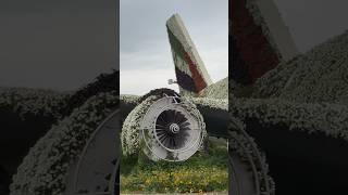 Airplane made of Flowers? Airbus A380 in Dubai Miracle Garden 