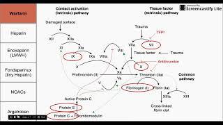 Anticoagulant Drugs