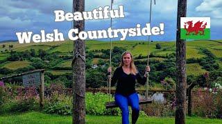 TRAVELING Through WALES Countryside  FRIST Ever Lavender Farm - Sheep - BEAUTIFUL ADVENTURE